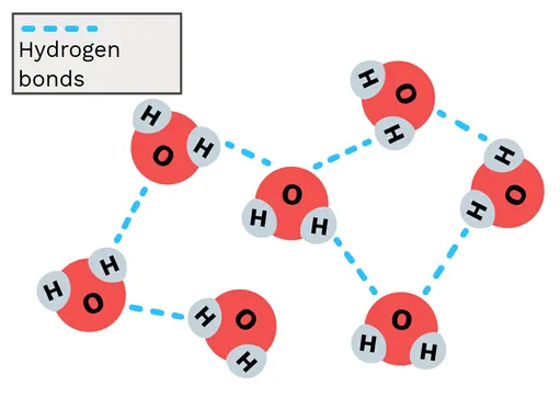 Hydrogen bonding